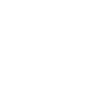 WooCommerce Logo