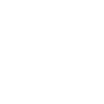 WordPress Logo