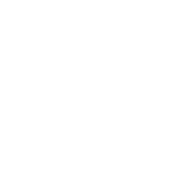 Stripe Payment Logo